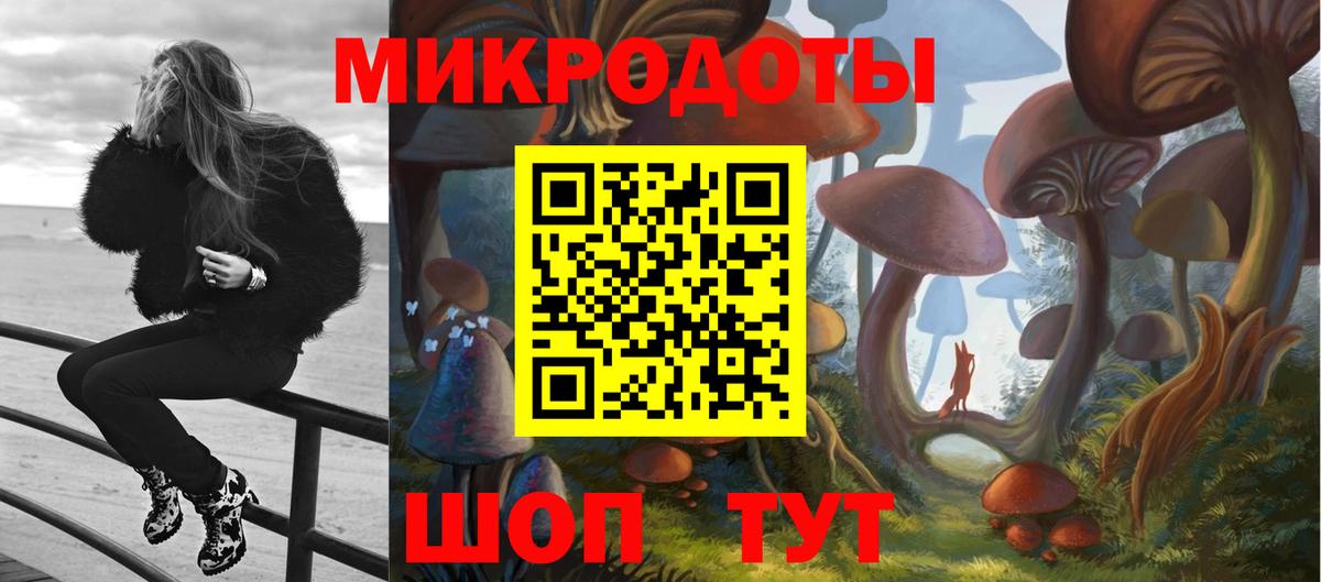 Миасс  Псилоцибиновые грибы мицелий  что такое наркотик  Вход с VPN  Галлюциногенные грибы мицелий 