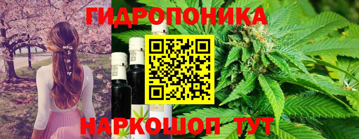 Миасс  Бошки Шишки Amnesia  Канабис семена  МАРИХУАНА ГИДРОПОН  Канабис Bruce Banner  Вход с VPN 
